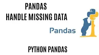 Handle Missing Data in Pandas(drop na,fillna) | Pandas drop na|Missing values in python