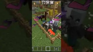 6 Fakta Unik Tentang Name Tag Di Minecraft!!