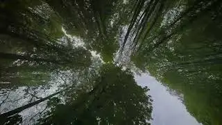 Fake FPV