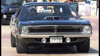 The Great Labor Day Cruise 2019