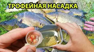 Осенняя Насадка ловит сама карася карпа и леща,самоделки для рыбалки,рыблка в сентябре