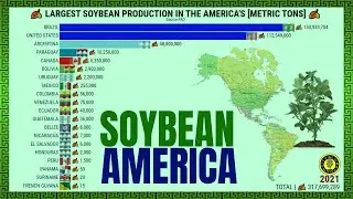 THE LARGEST SOYBEAN PRODUCERS IN THE AMERICA'S 🌿
