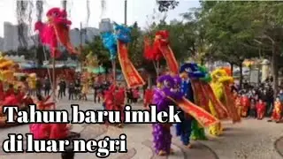 Tahun baru imlek di luar negri,Liat barongsai