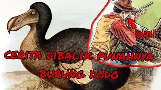 KISAH DIBALIK BURUNG DODO || SAMPAI INGIN DIMUSNAHKAN?!! 😱#dodo #horor