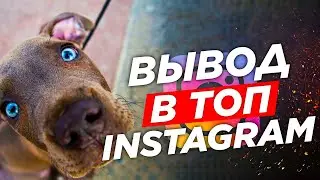 Как выводить видео в топ в инстаграме, накрутка подписчиков в инстаграме 2020