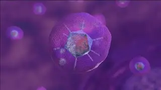 How COVID-19 Viral Vector Vaccines Work