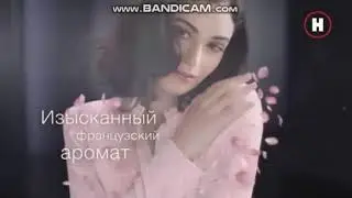 Рекламный Блок В Новом Оформлении (Наука 01.10.2019)