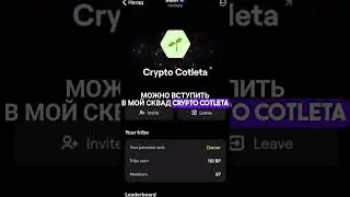 Зачем нужны сквады (tribe) в Blume! 