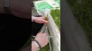 Машина для смешивания торфа WSMB 