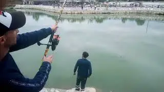 pesca storione laghetto cocchias 2022🦈