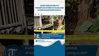Geger Temuan Mayat Perempuan Setengah Telanjang di Kebun Darupono Kendal