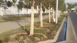 Бачаи точик дар ш.Душанбе голи гаштестай шармандаги 😠😠😠