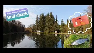 Ловля форели на немецких платниках!! Trout Area Fishing.