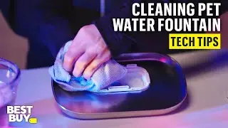 Cleaning the PETLIBRO Dockstream App Monitoring Pet Water Fountain – Tech Tips from Best Buy