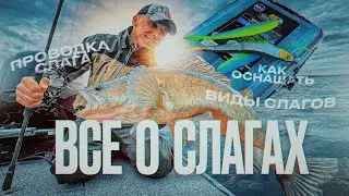 ВСЕ О СЛАГАХ! Ловля судака на его любимую приманку