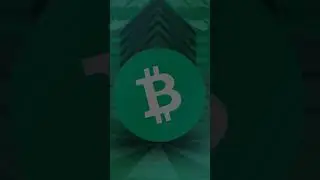 What is Bitcoin Cash 