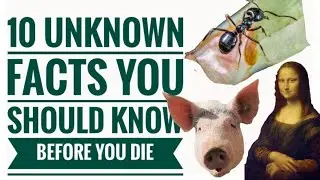 ""10 UNKNOWN FACTS THAT YOU SHOULD KNOW BEFORE DIE"" || " 10 UNKNOWN FACTS"