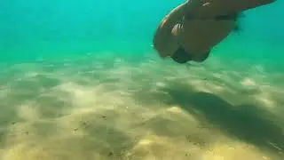 #beachlife #travel #dive #nature #gopro #music #turismo