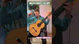 Wildflowers Lullaby - Dimitri Lavrentiev. New piece for guitar solo 