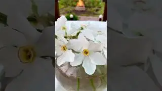 ВЛОГ/ОТДЫХ НА ДАЧЕ 