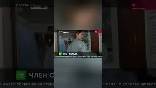 Кошка случайно выбежала на улицу и попала в приют, откуда ее не хотят отдавать хозяйке  