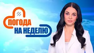 Белорусов ждёт жаркое начало осени! | Погода в Беларуси с 1 по 7 сентября | Плюс-минус