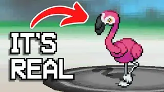 So I Hacked in GEN 9 Pokemon to Black & White..