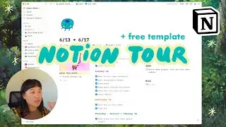 NOTION SET UP TOUR ★彡 how I organize my life & small art business + free template!