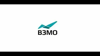 ВЗМО