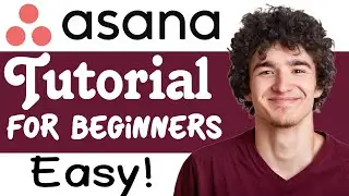 Asana Tutorial For Beginners: How To Use Asana