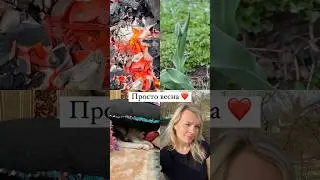 Апрель ❤️