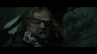 Harry Potter and the Goblet of Fire/Best scene/Daniel Radcliffe/Brendan Gleeson/David Tennant