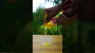 Rainbow 🌈 Milk Experiment 💯 நான் செய்த வானவில்🤩 