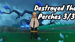 Destroy the Perches 3/3 Genshin Impact
