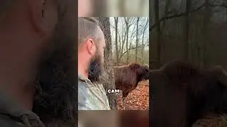 Лицом к лицу с тяжеловесным Буйволом😱