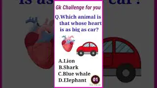 gk questions | gk in English | quiz questions | general knowledge English | exam | English quiz |