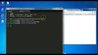 PHP cURL Tutorial Part 3: Posting Data To The Server