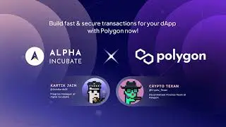 Alpha Venture DAO x Polygon to Support DeFi Builders Through ‘Alpha Incubate Batch 2’