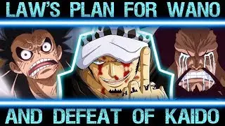 Law's Master Plan to Defeat Kaido in Wano (One Piece Major Theory Explained Chapter 900+)