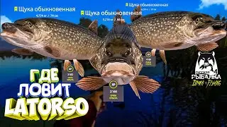 Русская рыбалка 4. 🎣 оз. Старый Острог 🐬🐬 🐬💦 ГДЕ ЛОВИТ LATORSO 👀
