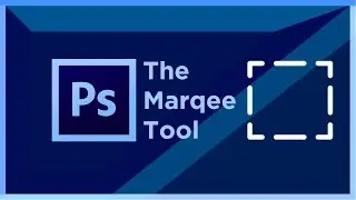 THE MARQUEE TOOLS TUTORIAL | Photoshop Basics