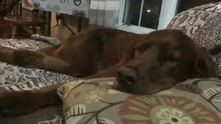 Such hardship