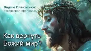 Вадим Плахотнюк: Как вернуть Божий мир