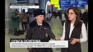 Сюжет о работе транспортных полицейских в аэропорту Внуково