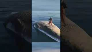 People Dance on Dead Whale Carcass 😡🐋 #Disrespectful #Viral