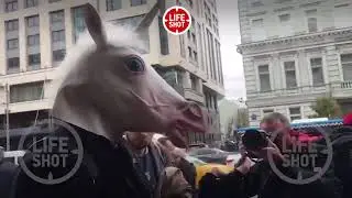 Комментарии единорога