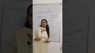 Financial needs of a business 