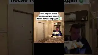 #юмор