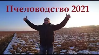 Что было и каким будет Пчеловодство 2021