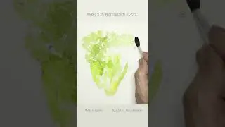 [レタス・簡略化した野菜の描き方]　水彩メイキング　watercolor Masato Watanabe 